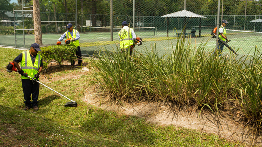 Landscaping Landscaping